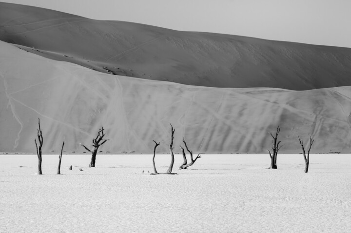 Photographie intitulée "Namib Desert-0668-SW" par Uwe Bauch, Œuvre d'art originale, Photographie numérique