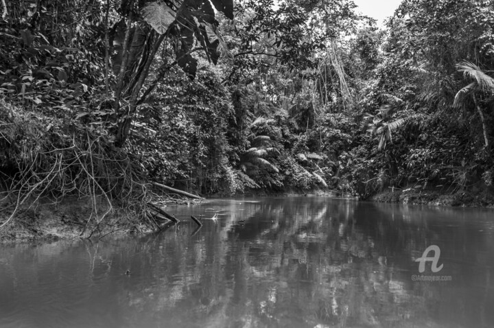 Photographie intitulée "Amazonia-8131-SW" par Uwe Bauch, Œuvre d'art originale, Photographie numérique