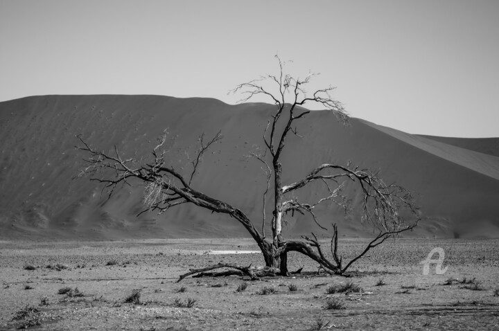 Fotografía titulada "Namib Desert-0942-SW" por Uwe Bauch, Obra de arte original, Fotografía digital