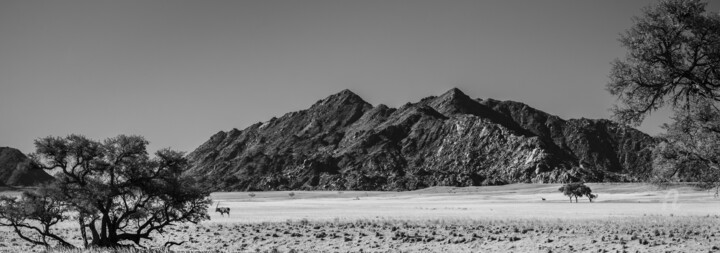 Fotografie mit dem Titel "Namib Desert Panora…" von Uwe Bauch, Original-Kunstwerk, Digitale Fotografie