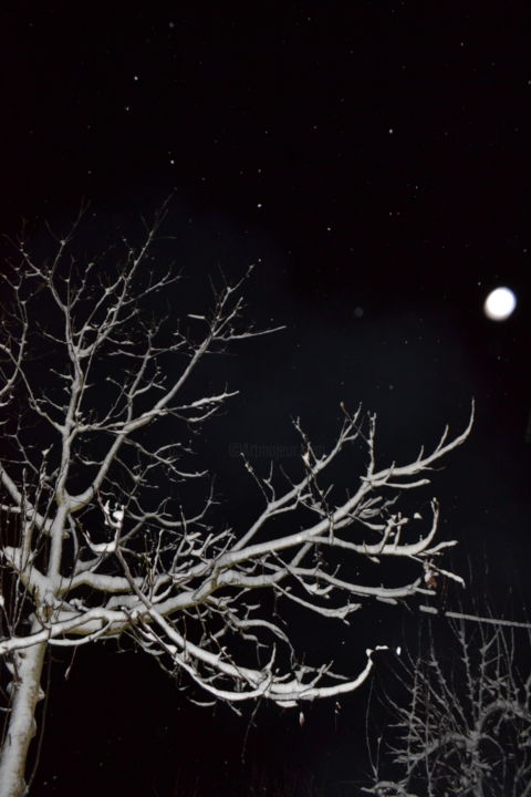 Фотография под названием "Schönheit der Nacht" - Nisa Uzun, Подлинное произведение искусства, Пленочная фотография