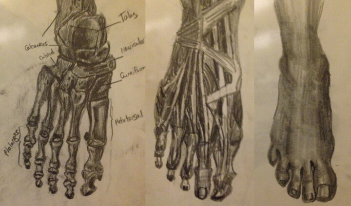 Drawing titled "Study Of The Foot" by V Kotnik, Original Artwork, Pencil