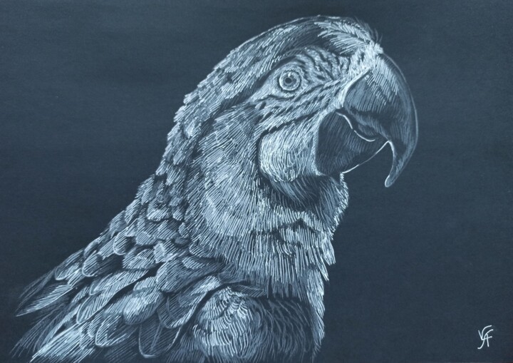 Dessin intitulée "ARA BIRD - original…" par Alona Vakhmistrova, Œuvre d'art originale, Crayon
