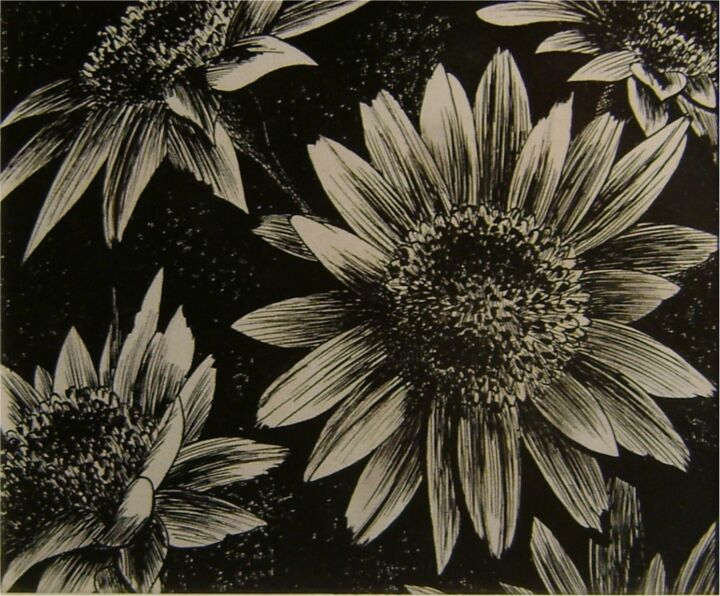 Drawing titled "B&W daisies" by Valdecir Balogo, Original Artwork, Ink Mounted on Cardboard