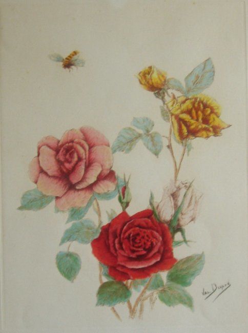 Gravures & estampes intitulée "ROSES ANCIENNES 8" par Valentine Dupré, Œuvre d'art originale, Gravure