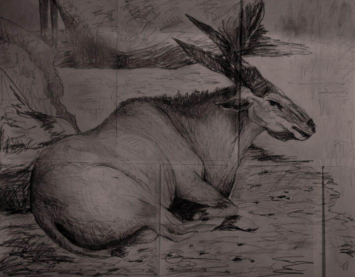 Drawing titled "Mammifères I" by Valeria Jaramillo, Original Artwork, Graphite