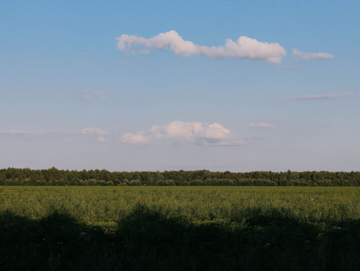 Fotografie mit dem Titel "Field" von Valeria Nikitina, Original-Kunstwerk, Digitale Fotografie