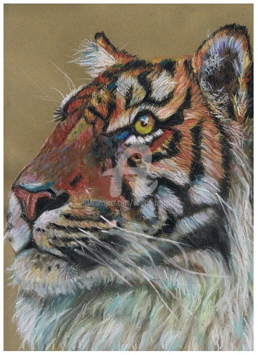 Drawing titled "Tigre" by Valérie Barrett, Original Artwork, Pastel