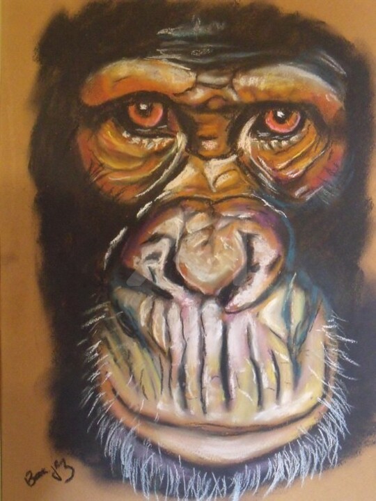 Drawing titled "Chimpanzé" by Valérie Barrett, Original Art, Pastel