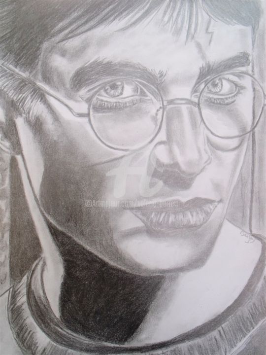 Drawing titled "Harry Potter (Danie…" by Valérie Barrett, Original Artwork, Conté Mounted on Wood Panel