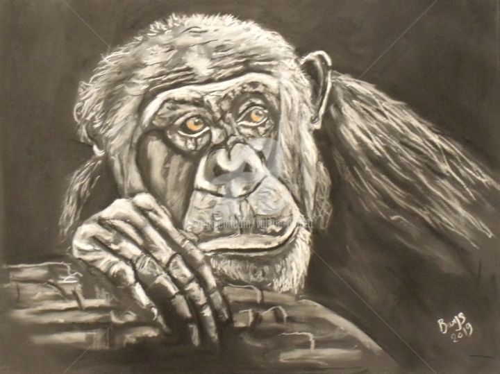 Pintura intitulada "Chimpanzé dubitatif" por Valérie Barrett, Obras de arte originais, Pastel Montado em Outro painel rígido