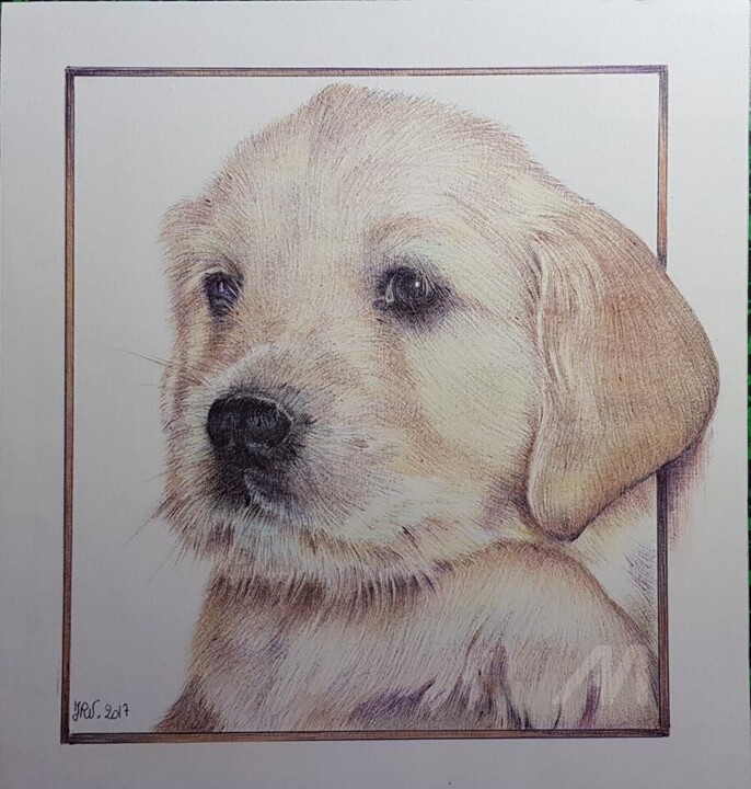 Dessin intitulée "Bébé golden retriev…" par Valérie Jouffroy Ricotta, Œuvre d'art originale, Stylo à bille