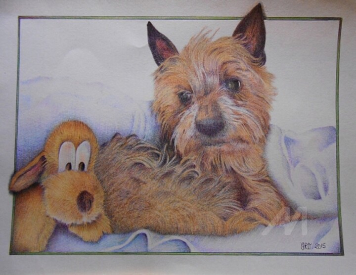 Drawing titled "Rocky le petit york…" by Valérie Jouffroy Ricotta, Original Artwork, Ballpoint pen