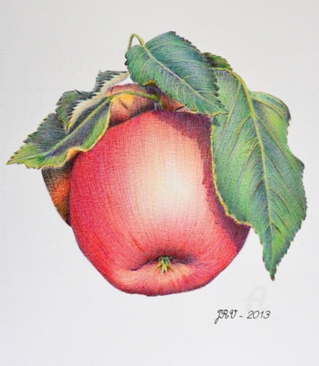 Dessin intitulée "Pomme - Stylo bille" par Valérie Jouffroy Ricotta, Œuvre d'art originale, Stylo à bille