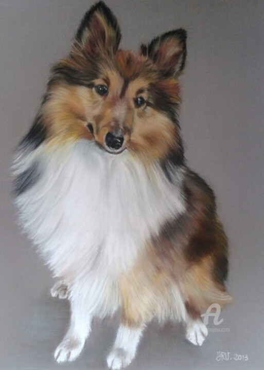 Painting titled "Lassie berger des S…" by Valérie Jouffroy Ricotta, Original Artwork, Pastel