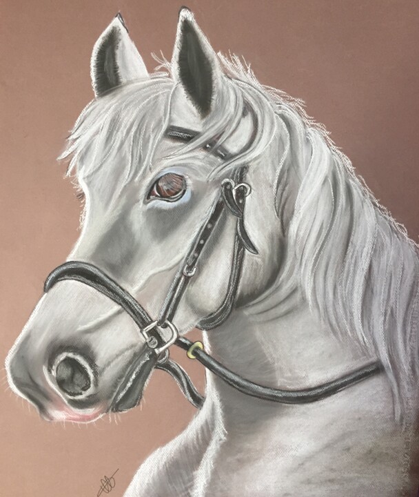 Drawing titled "Cheval" by Valerie Lefebvre, Original Artwork, Pastel Mounted on Cardboard