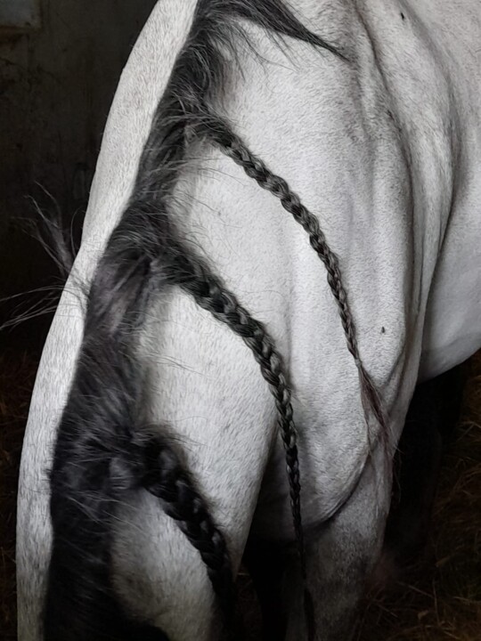 Photographie intitulée "Les tresses" par Valérie Perlein, Œuvre d'art originale, Photographie non manipulée