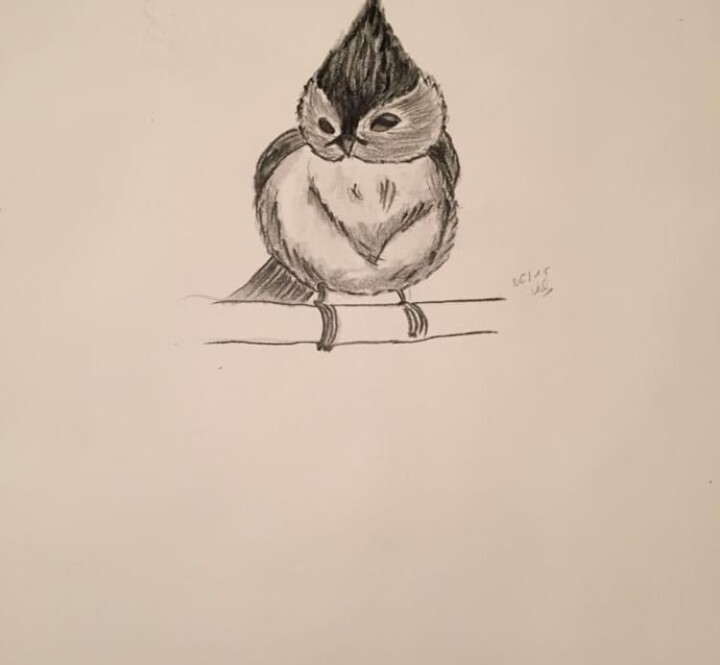 Dessin intitulée "Petit oiseau" par Valerie Sagnier (Val'Art), Œuvre d'art originale, Crayon