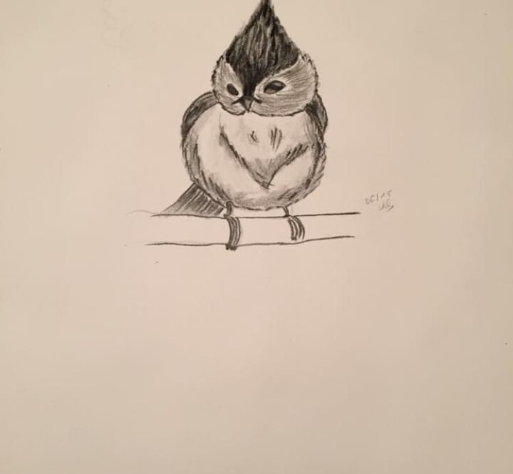 Drawing titled "Petit oiseau" by Valerie Sagnier (Val'Art), Original Artwork, Pencil