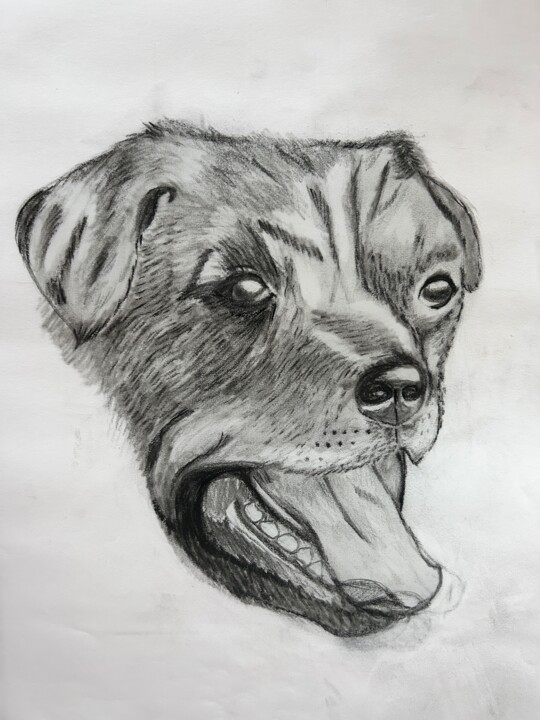 Drawing titled "Rott" by Valerie Sagnier (Val'Art), Original Artwork, Pencil