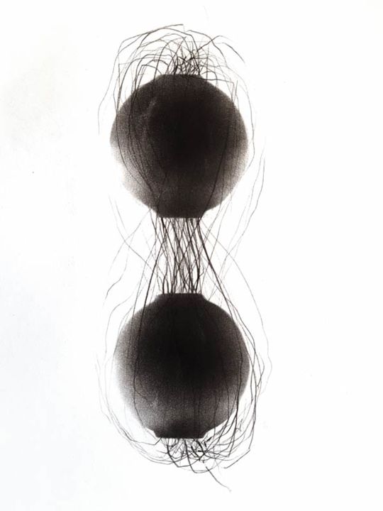 Drawing titled "subsonique 20180202" by Valeriebrulev, Original Artwork, Charcoal