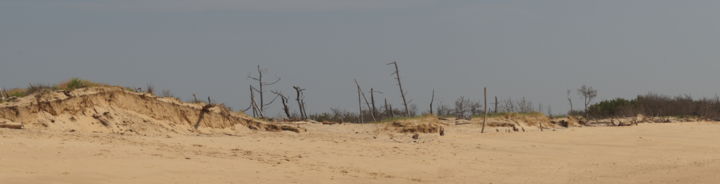 Fotografia zatytułowany „Isolé” autorstwa Valérie Rebourg, Oryginalna praca