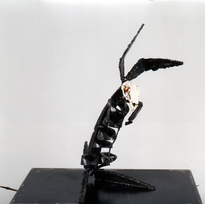 Rzeźba zatytułowany „Anatomy study: rabb…” autorstwa Valerio Saltarelli Savi, Oryginalna praca, Kość