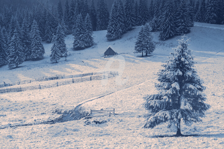 Photographie intitulée "First winter mornin…" par Valerix, Œuvre d'art originale, Photographie numérique