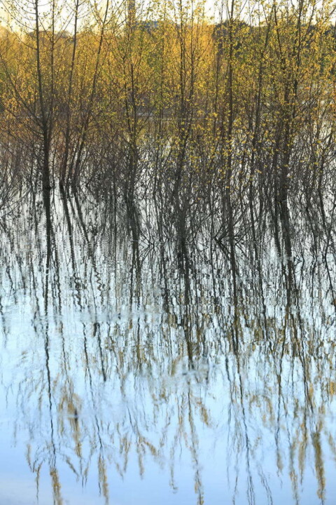Photography titled "Blois rives de Loire" by Valery Trillaud, Original Artwork, Non Manipulated Photography