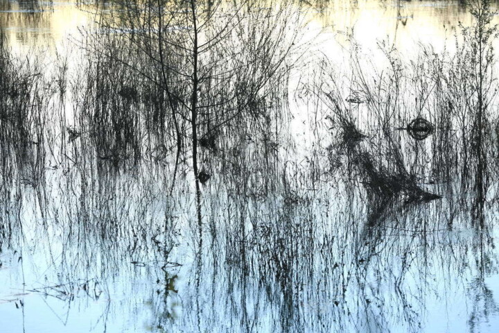 Photography titled "Au fil de l'eau 2" by Valery Trillaud, Original Artwork, Non Manipulated Photography