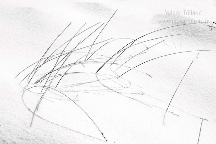 Photographie intitulée "Calligraphie hivern…" par Valery Trillaud, Œuvre d'art originale, Photographie non manipulée