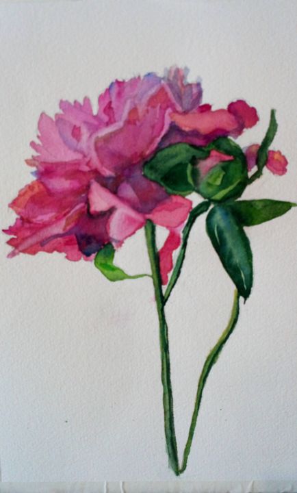 绘画 标题为“Пион, Цветы акварель” 由Алиса Валиева, 原创艺术品, 水彩