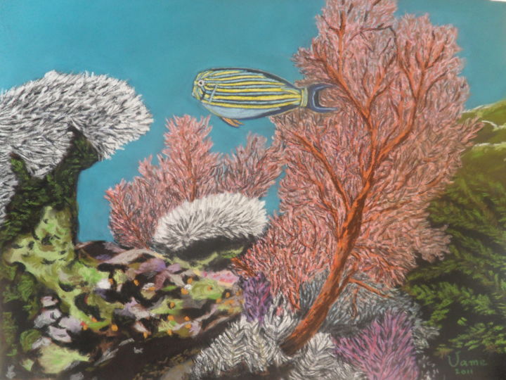 Zeichnungen mit dem Titel "Poisson et coraux" von Vame, Original-Kunstwerk, Andere