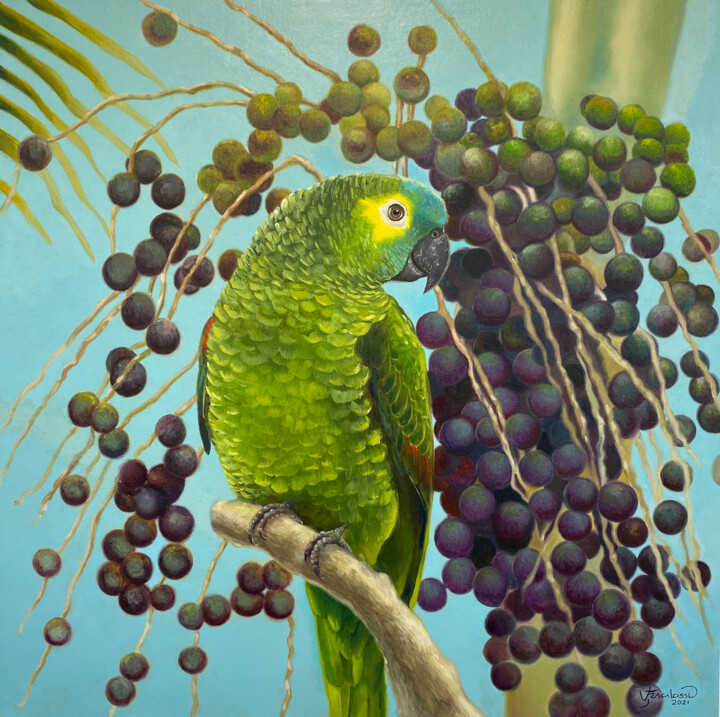Painting titled "Perroquet - palmier…" by Vanderlei Fracalossi, Original Artwork, Oil