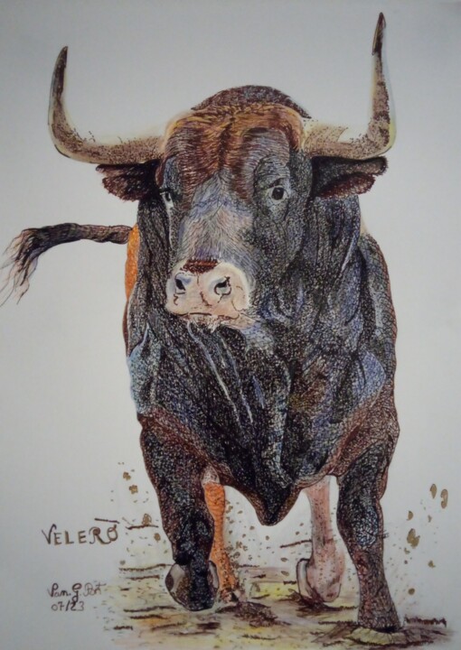"VELERO" başlıklı Resim Vanessa Garcia Artunedo tarafından, Orijinal sanat, Mürekkep