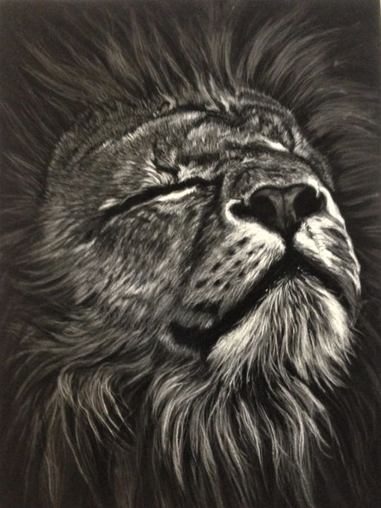 Painting titled "lion" by Vanessa Terreros, Original Artwork, Pastel