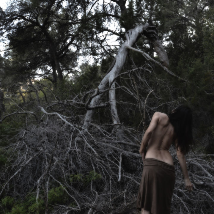 Photographie intitulée "TREE LOVE" par Vanessa Nessren, Œuvre d'art originale