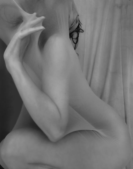 Photographie intitulée "V.N.Photography 002" par Vanessa Nessren, Œuvre d'art originale,