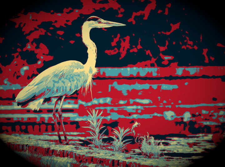 Photography titled "Heron" by Vanja Rosenthal, Original Artwork, Digital Photography