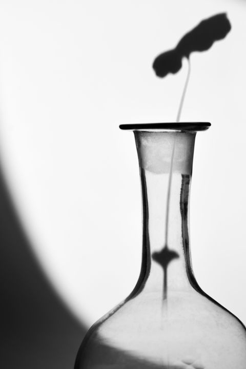 Photography titled "Still life" by Varvara Shtern, Original Artwork, Digital Photography