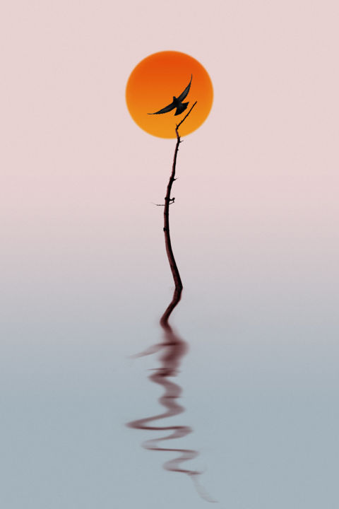Photographie intitulée "Sunset" par Varvara Shtern, Œuvre d'art originale, Photographie numérique
