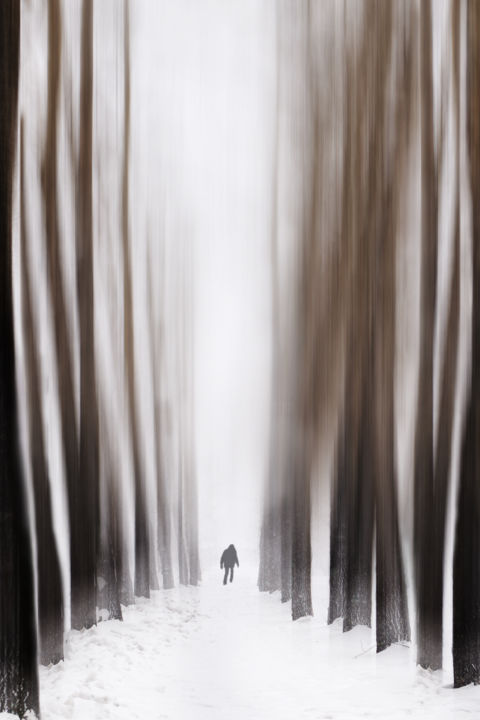 Fotografía titulada "Sherwood forest" por Varvara Shtern, Obra de arte original, Fotografía digital