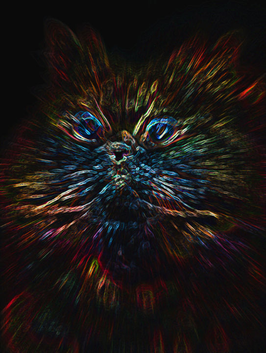 Arts numériques intitulée "Flash Cat" par Vasco Fernandes, Œuvre d'art originale, Photo montage