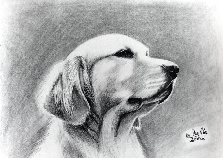 Dessin intitulée "Dog" par Vasilika Chilikina, Œuvre d'art originale, Crayon