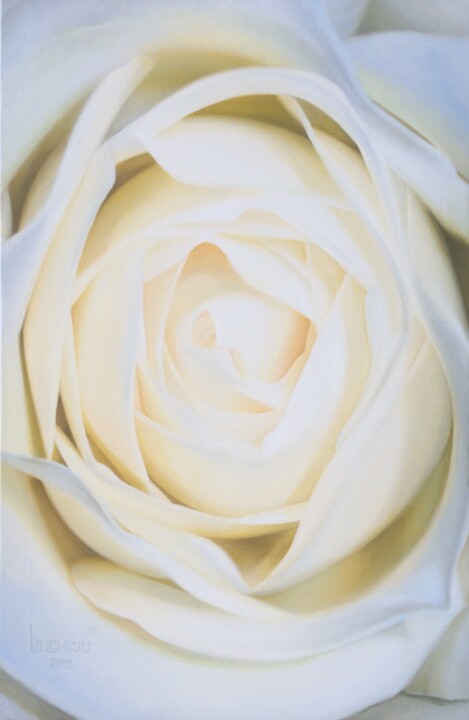 Painting titled "White Rose" by Vasily Luchkiv, Original Artwork, Oil