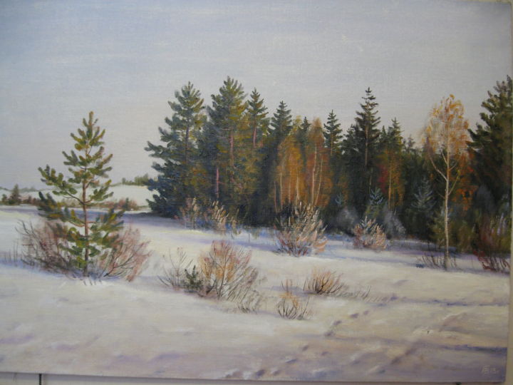 Peinture intitulée "Начало зимы на Вяче" par Vladimir Golub, Œuvre d'art originale