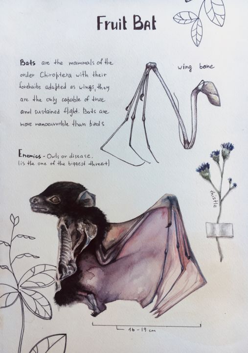 Картина под названием "Fruit bat" - Oksana Poluektova, Подлинное произведение искусства, Акварель