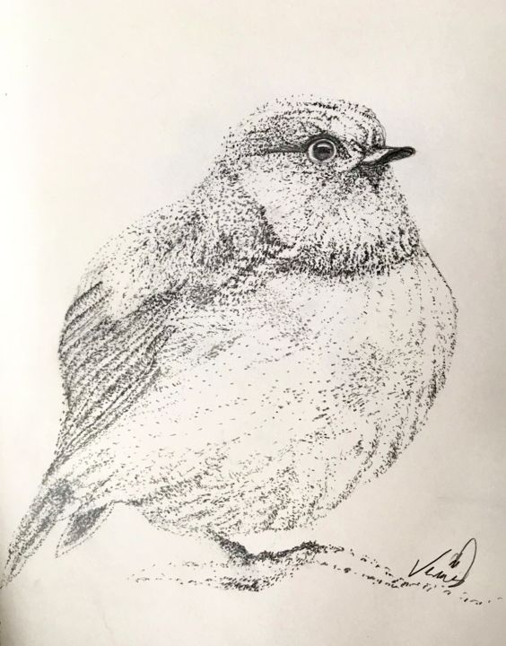 Disegno intitolato "Bird" da Venüs Ezgi Kurtoğlu, Opera d'arte originale, Matita