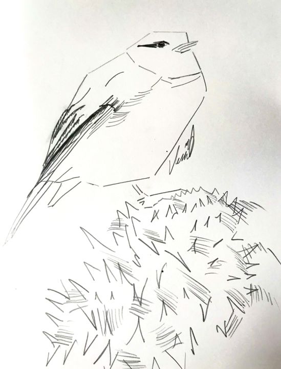 Desenho intitulada "Bird2" por Venüs Ezgi Kurtoğlu, Obras de arte originais, Carvão