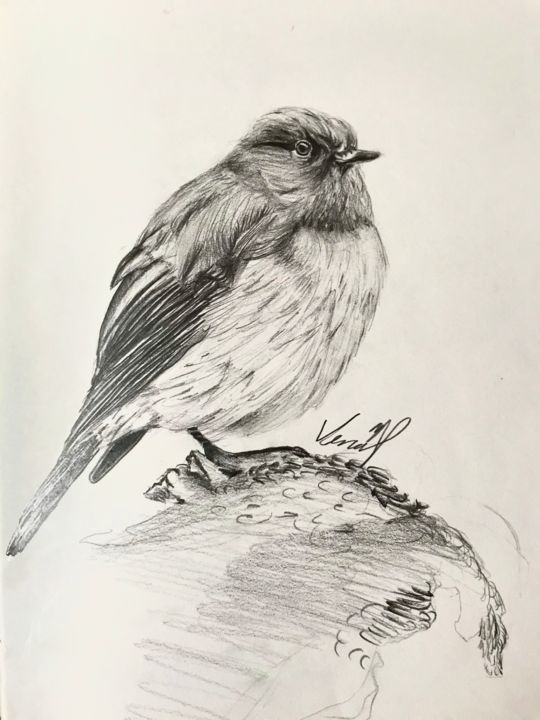 「Bird3」というタイトルの描画 Venüs Ezgi Kurtoğluによって, オリジナルのアートワーク, 木炭